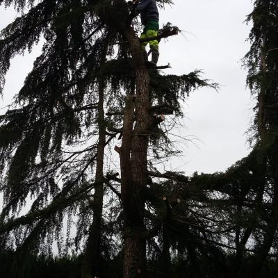 Photos